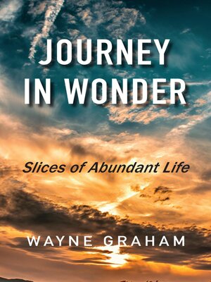 cover image of Journey in Wonder